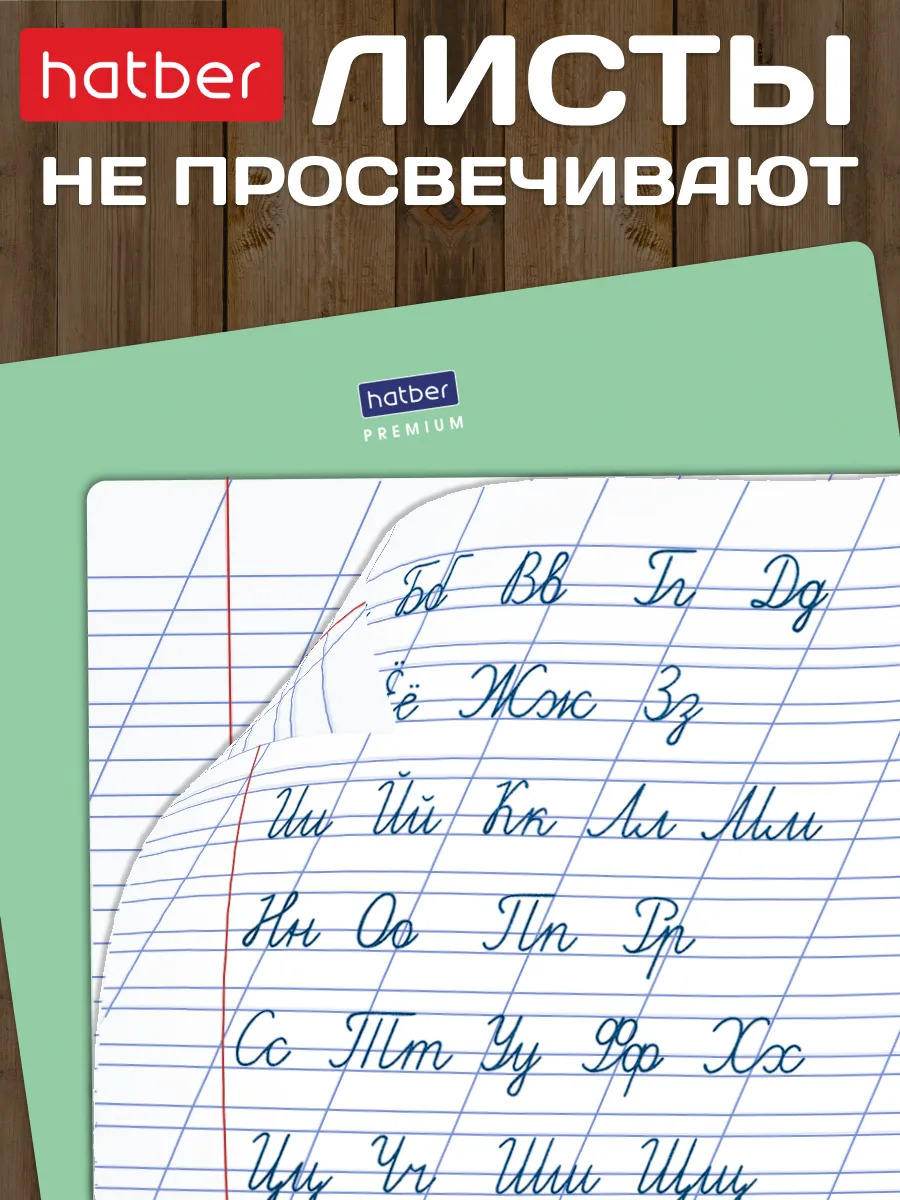 Тетрадь 12 л. кос. лин. "панда-тетрадь" ("hatber") б/б