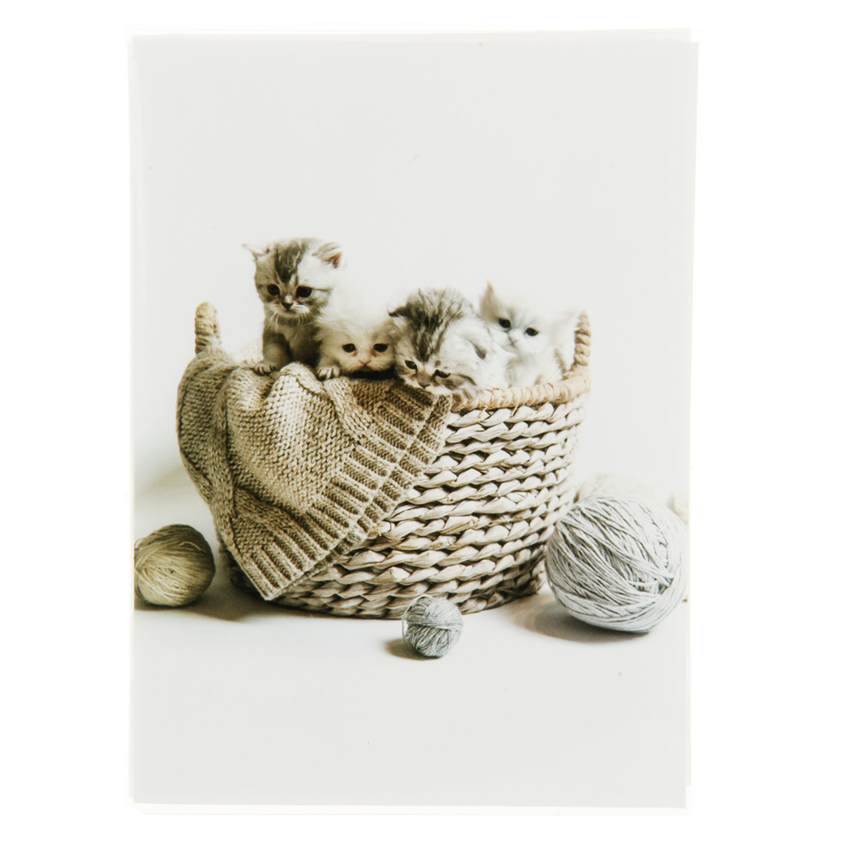 Альбом для фото на 36 ф. 10х15см "котята" в мягкой обложке