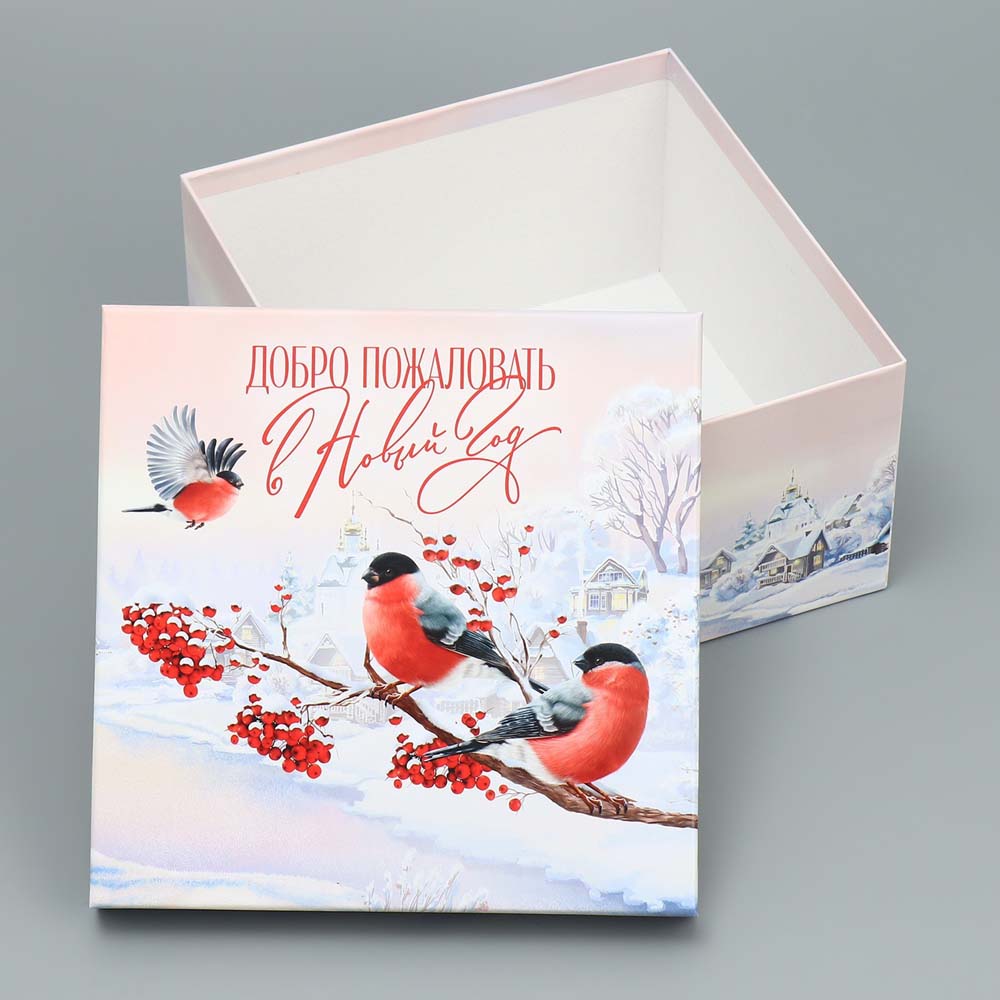 Коробка "новогодняя сказка" 22х22х12см