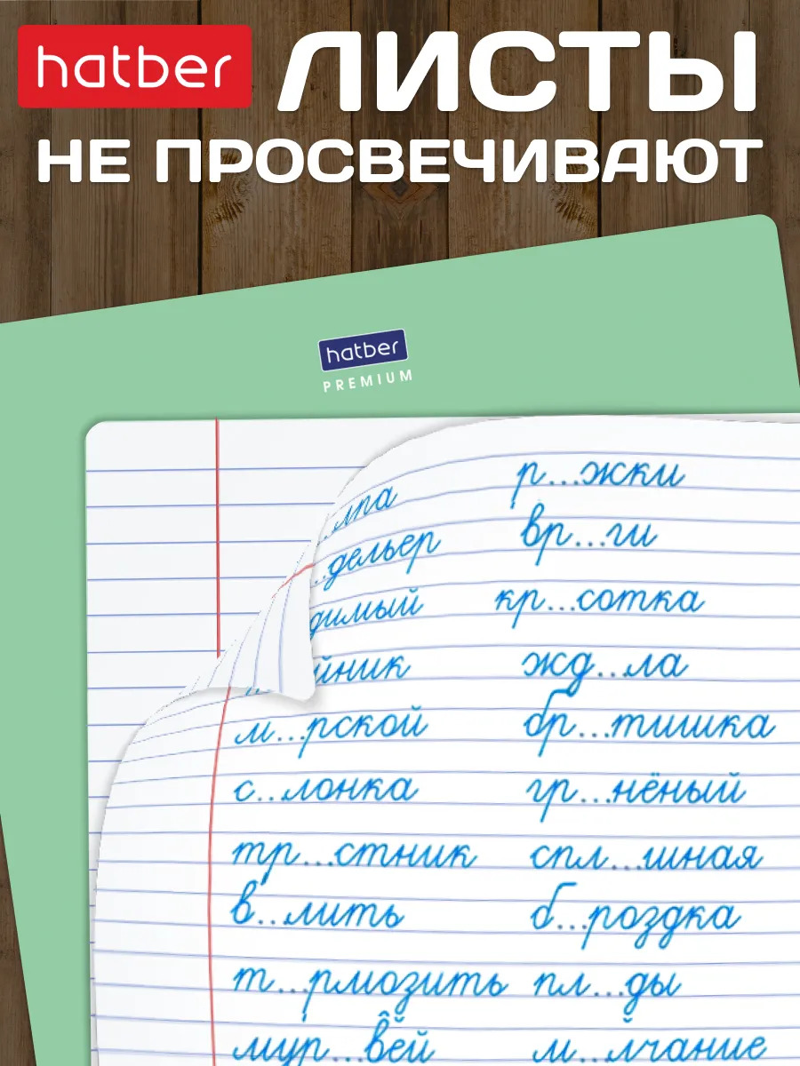 Тетрадь 12 л. лин. "панда-тетрадь" ("hatber") б/б