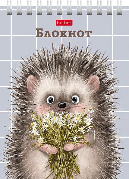 Блокнот а6 гребень 40л. кл. "хорошо быть ёжиком" (hatber) асс-т
