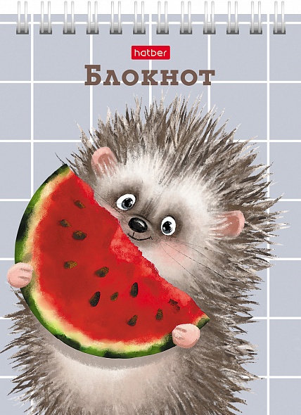Блокнот а6 гребень 40л. кл. "хорошо быть ёжиком" (hatber) асс-т