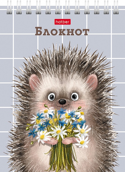 Блокнот а6 гребень 40л. кл. "хорошо быть ёжиком" (hatber) асс-т