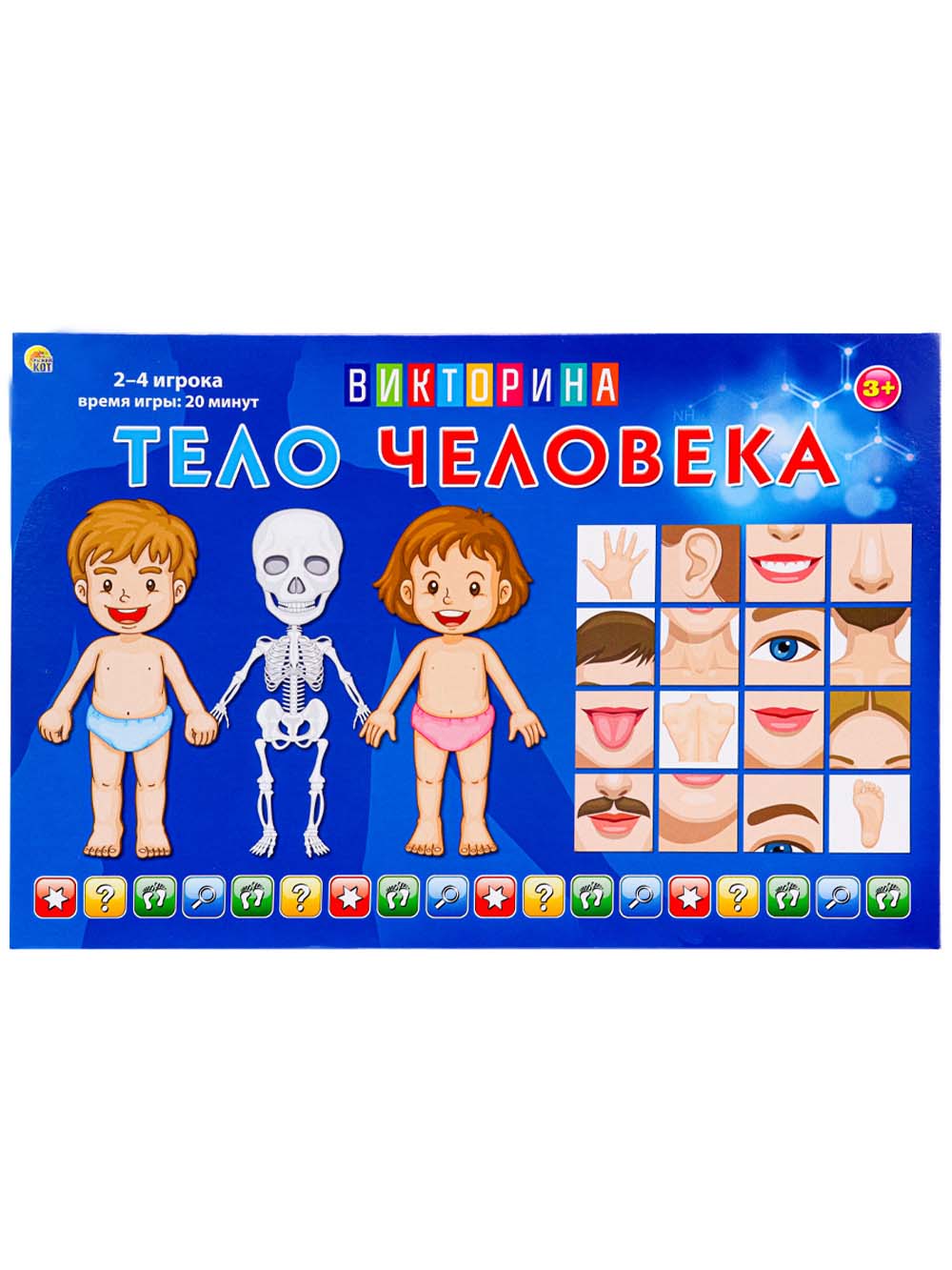 Игра викторина "тело человека" 3+