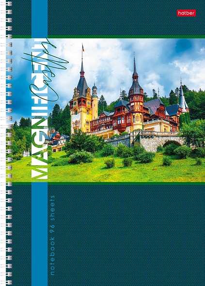 Тетрадь а4 на гребне 96л. кл. "великолепные замки" (hatber) асс-т