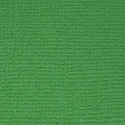 Кардсток текстурный темно-зелёный mr.p. 216гр 30,5х30,5см