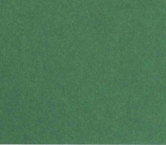 Бумага цветная folia а4 300г зеленый еловый