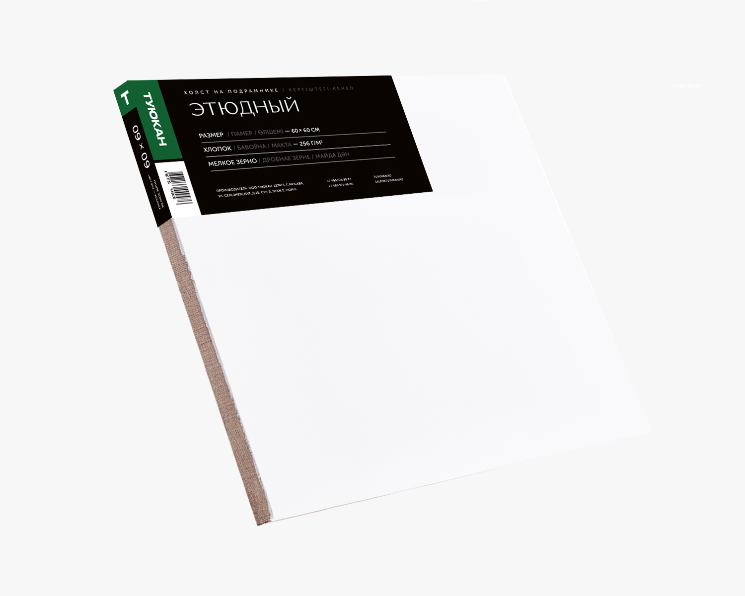 Холст на подрамнике грунтованный 60х60см "туюкан" этюдный