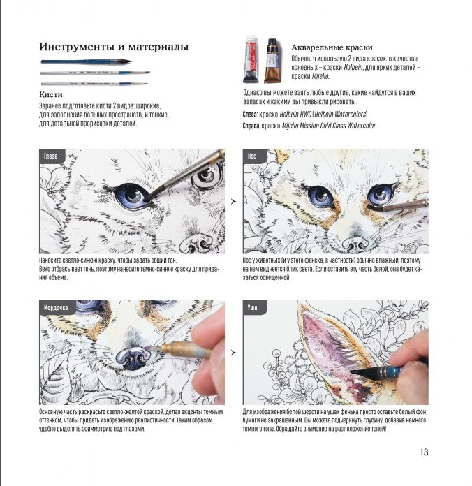 Раскраска+скетчбук "мир поразительных существ к.мацуды" (белый)