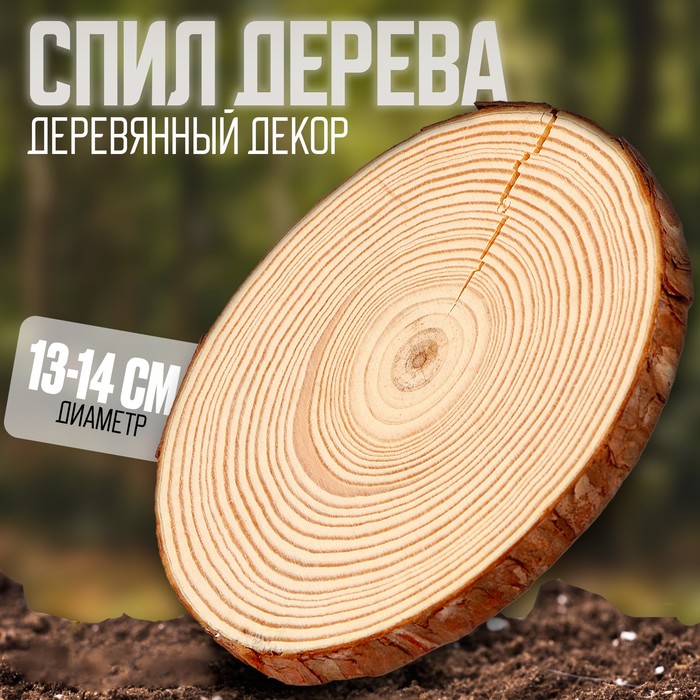 Спил дерева круглый d-13-14см