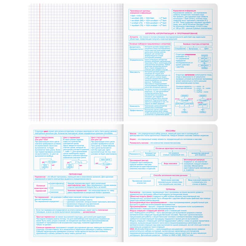 Тетрадь 48л. "скандальности" информатика (bg) глянц.лам.