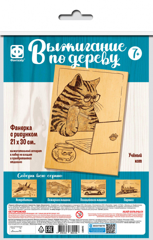 Доска для выжигания "ученый кот" 30х21см