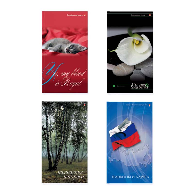 Книжка алфавитная а6 64л. тв.обл. (альт) асс-т