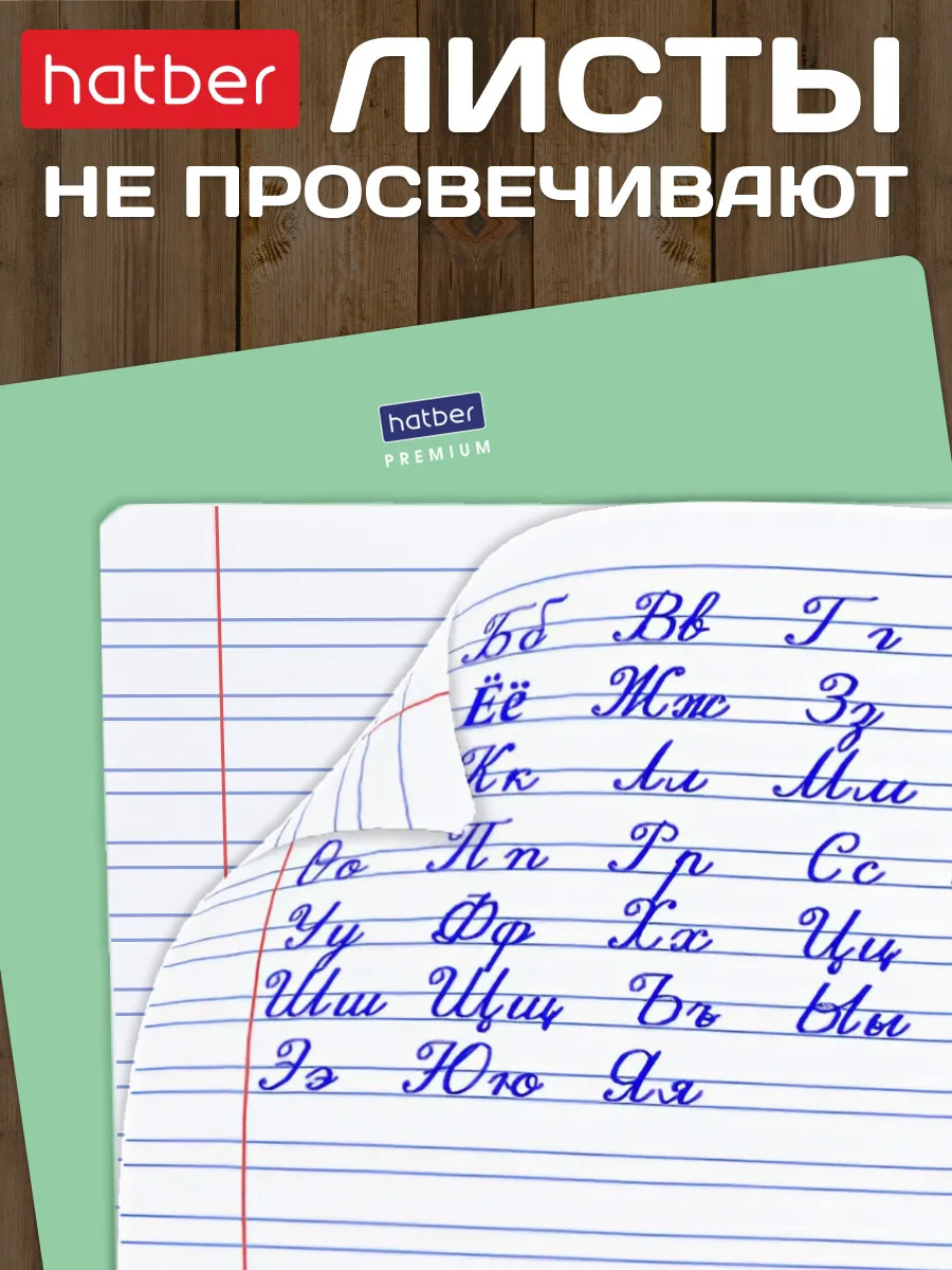 Тетрадь 12 л. узкая лин. "панда-тетрадь" ("hatber") б/б