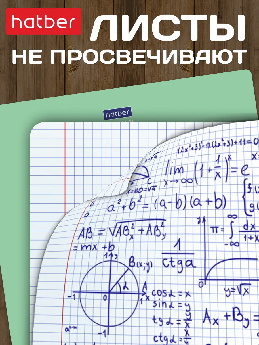 Тетрадь 12 л. кл. "панда-тетрадь" ("hatber") б/б