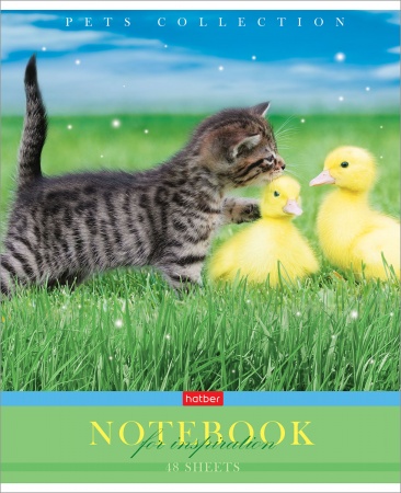 Тетрадь 48 л. кл. "усы, лапы, хвост" (hatber) б/б,асс-т
