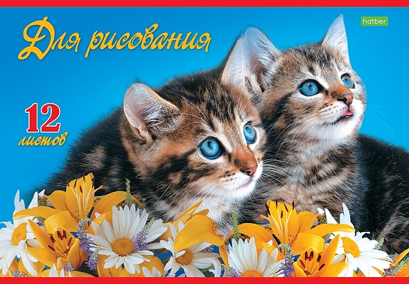 Альбом д/рис. а4 12л.скрепка "верные друзья" (hatber) оф/о,асс-т