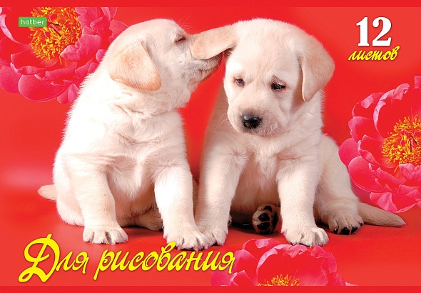 Альбом д/рис. а4 12л.скрепка "верные друзья" (hatber) оф/о,асс-т