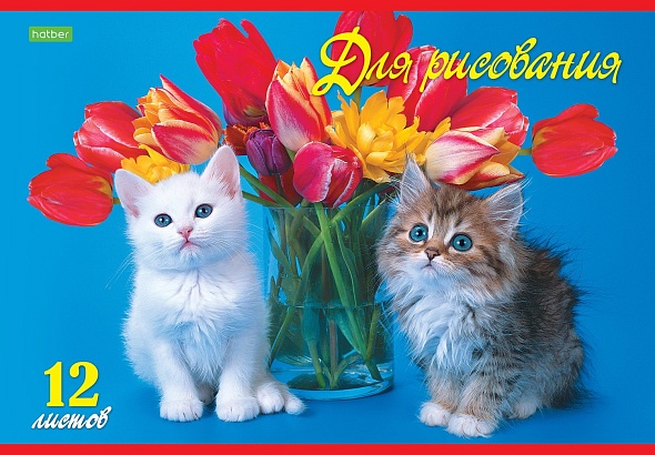 Альбом д/рис. а4 12л.скрепка "верные друзья" (hatber) оф/о,асс-т