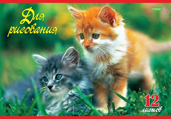 Альбом д/рис. а4 12л.скрепка "верные друзья" (hatber) оф/о,асс-т