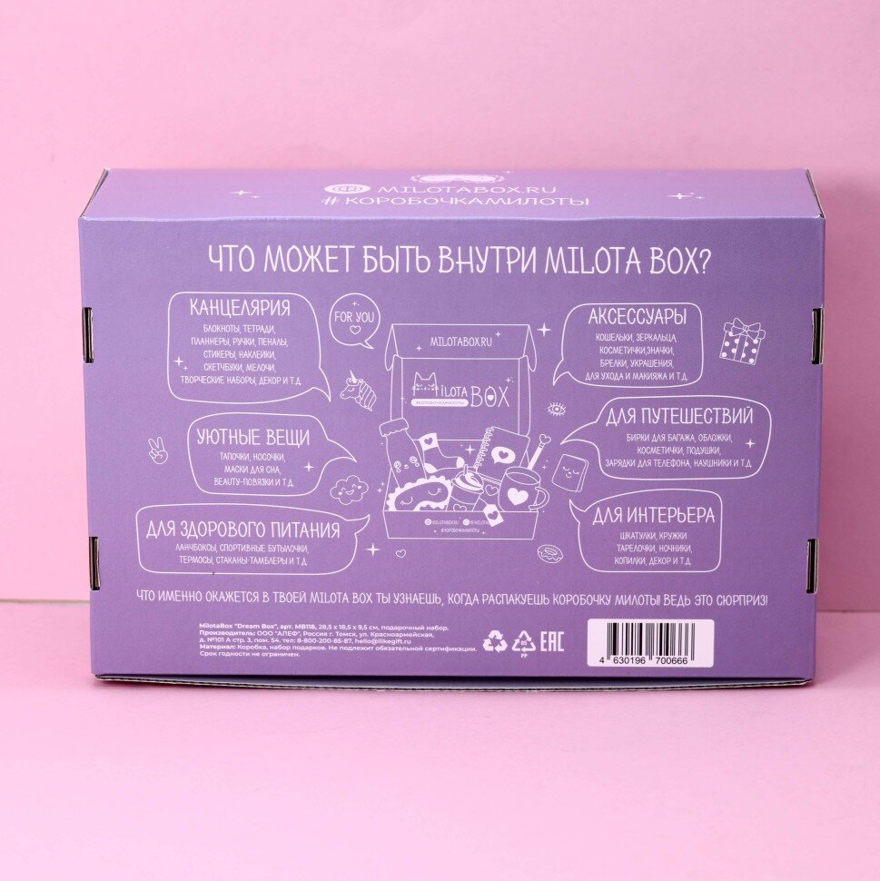 Сувенирная коробка "dream box"
