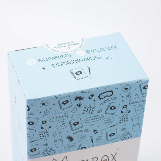 Сувенирная коробка mini "school"