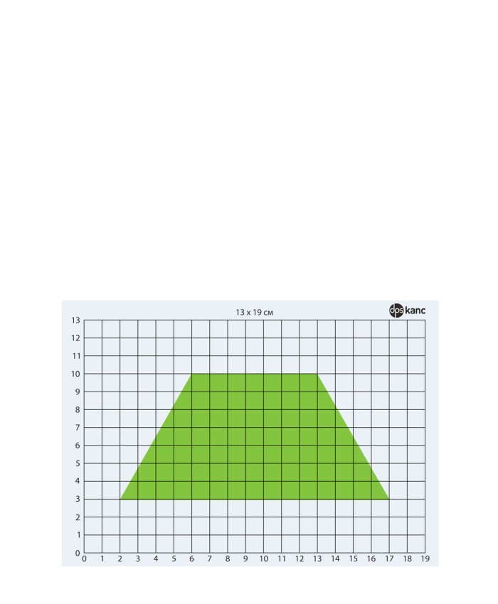 Палетка для измерения площади а5 150мк