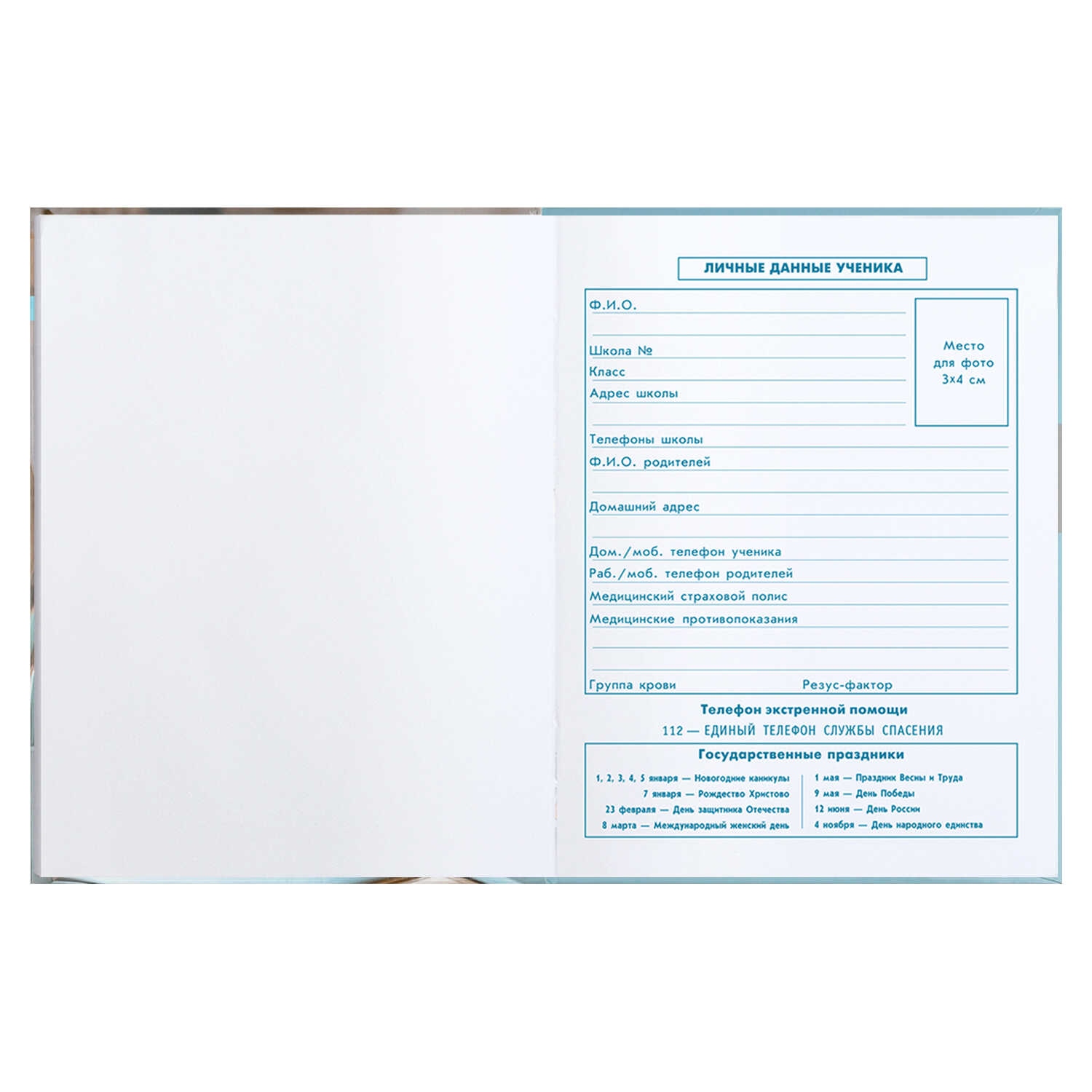 Дневник мл.кл. тв.обл. "глобус" (феникс+) глянц.лам.,тиснен.фольгой