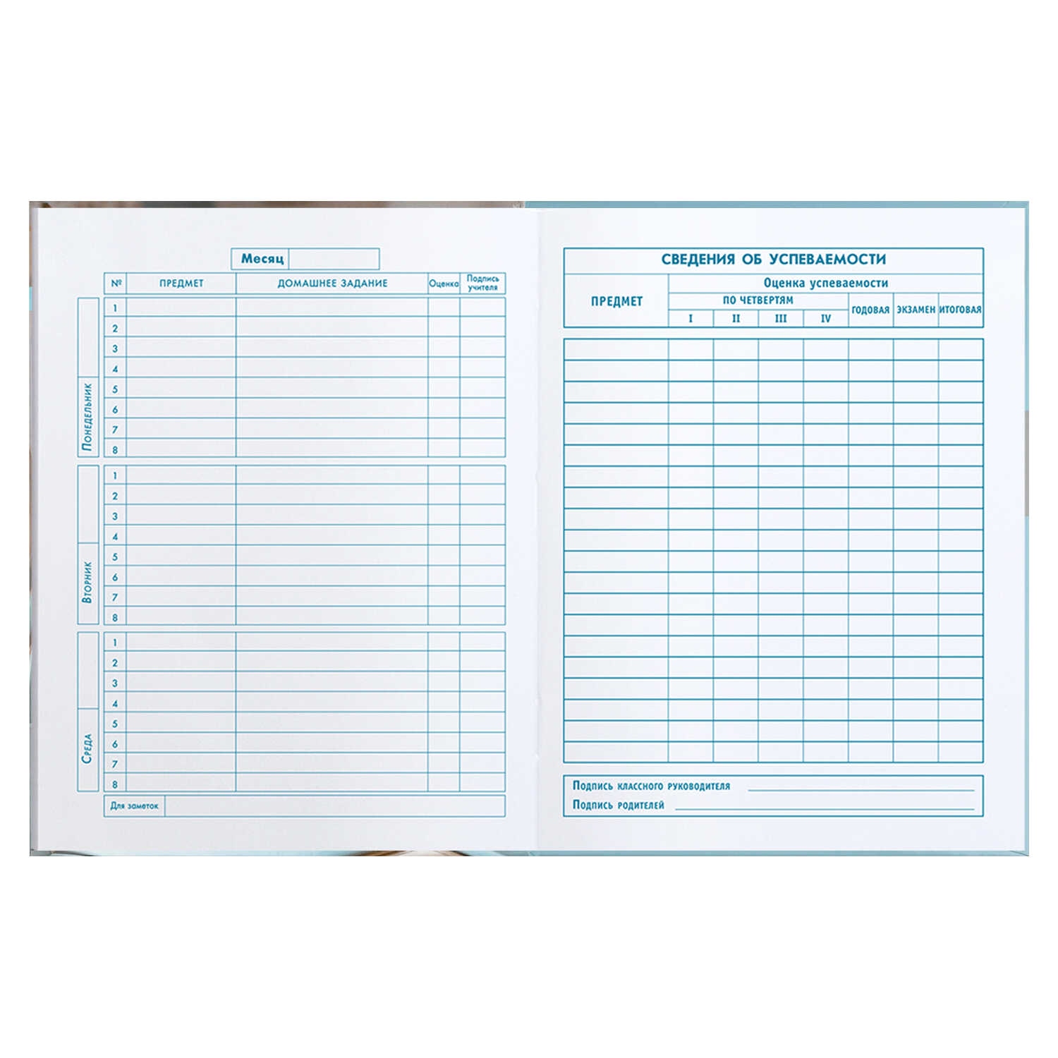 Дневник мл.кл. тв.обл. "глобус" (феникс+) глянц.лам.,тиснен.фольгой