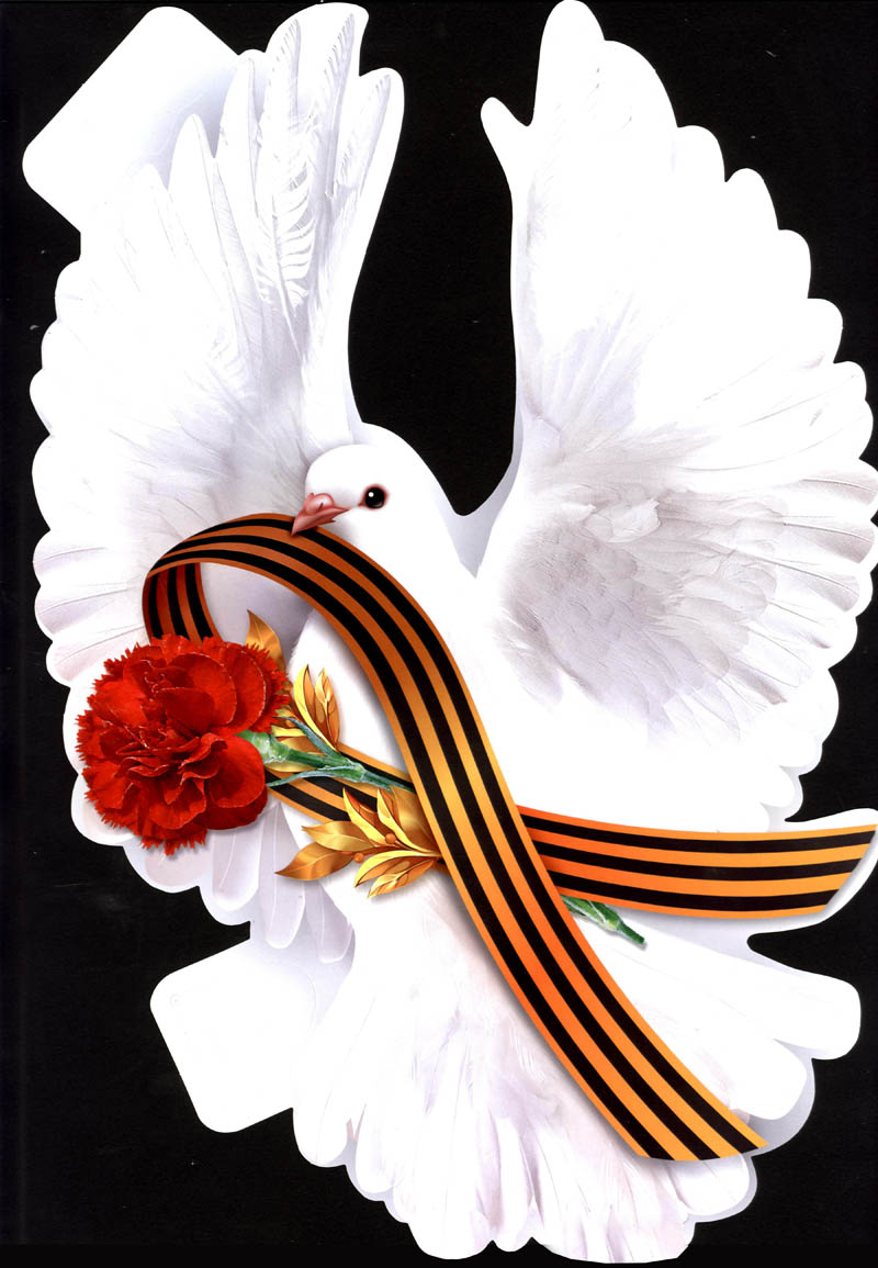 Плакат "голубь"