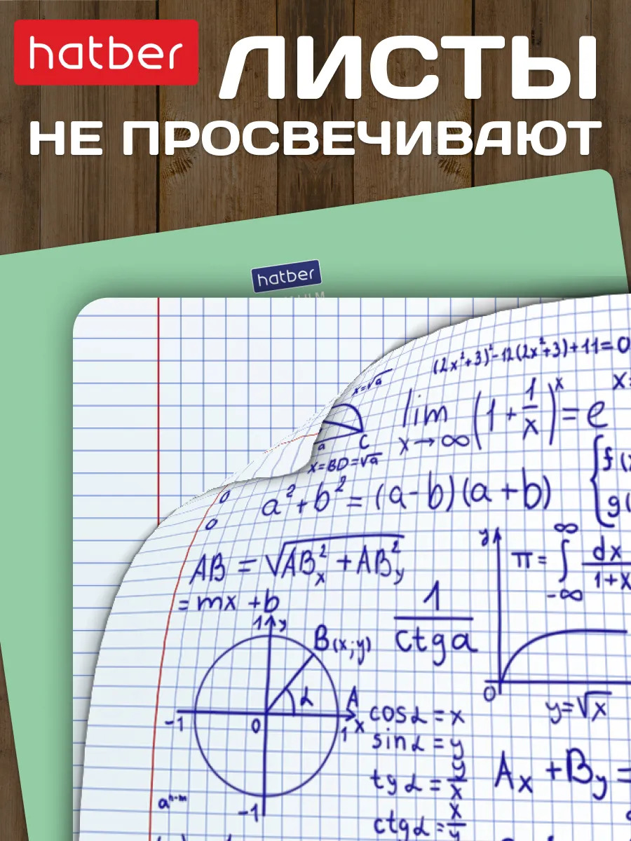 Тетрадь 18 л. кл. "панда-тетрадь" ("hatber") б/б