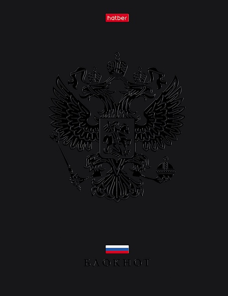 Книжка записная а5 тв.обл. 80л. кл. "россия" (hatber) 5-цв.блок,мат.лам.,3dлак