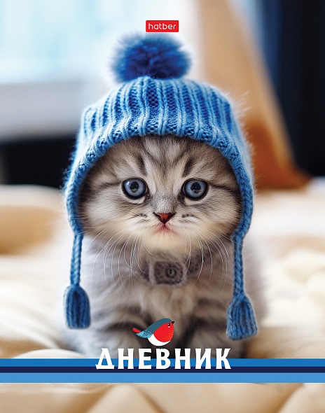 Дневник универс. тв.обл. "котик в шапочке" (hatber) глянц.лам.