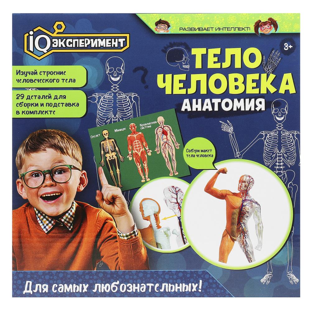 Игра iq эксперимент "тело человека. анатомия"