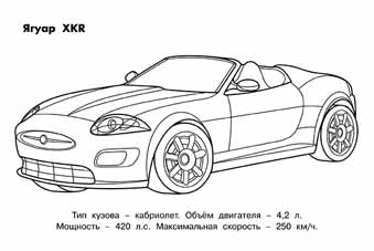 Раскраска для мальчиков "ягуар" ("фламинго")