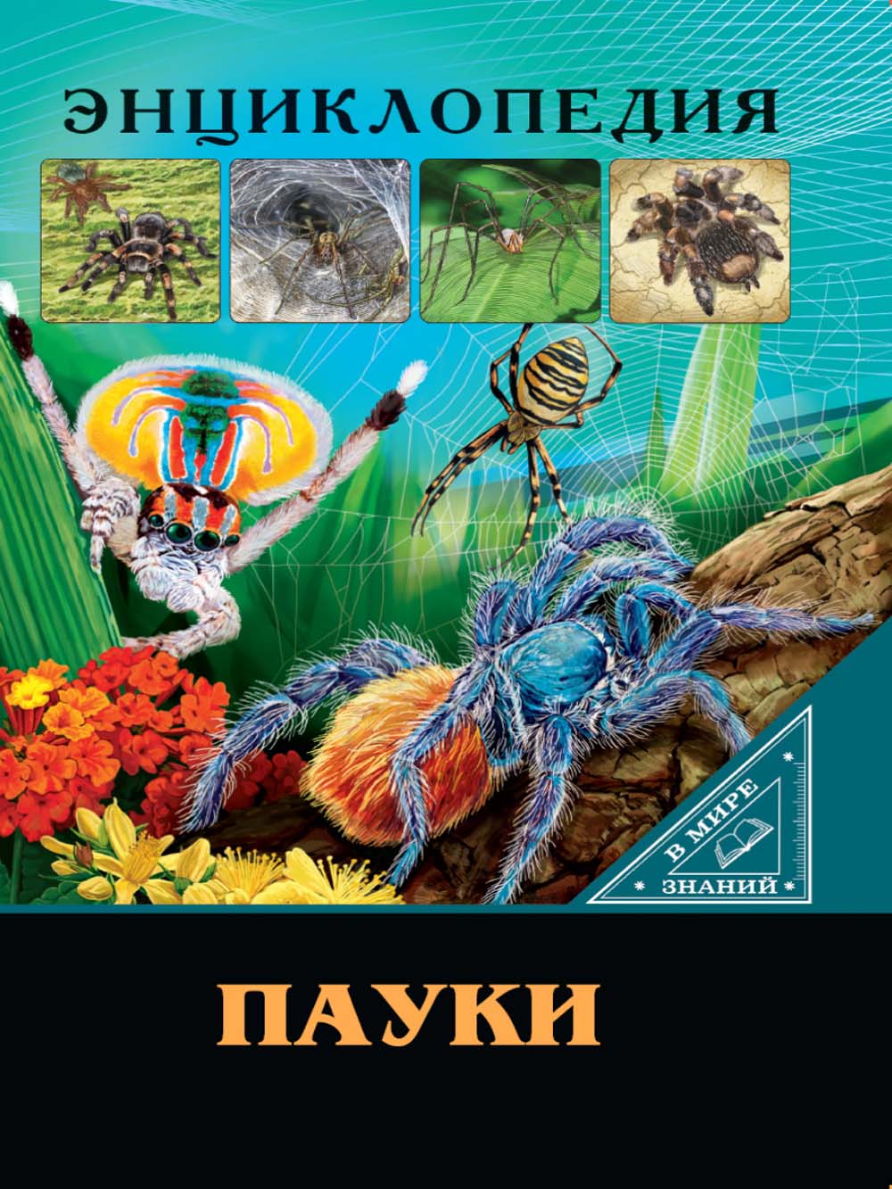 Книга энциклопедия "в мире знаний. пауки" (проф-пресс)