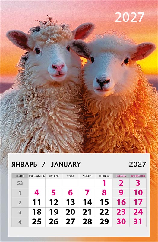 Календарь настенный отрывной 2027 95х145 "две овечки" на магните