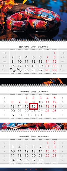 Календарь настенный 3-блочный 2025 "год змеи" + бегунок