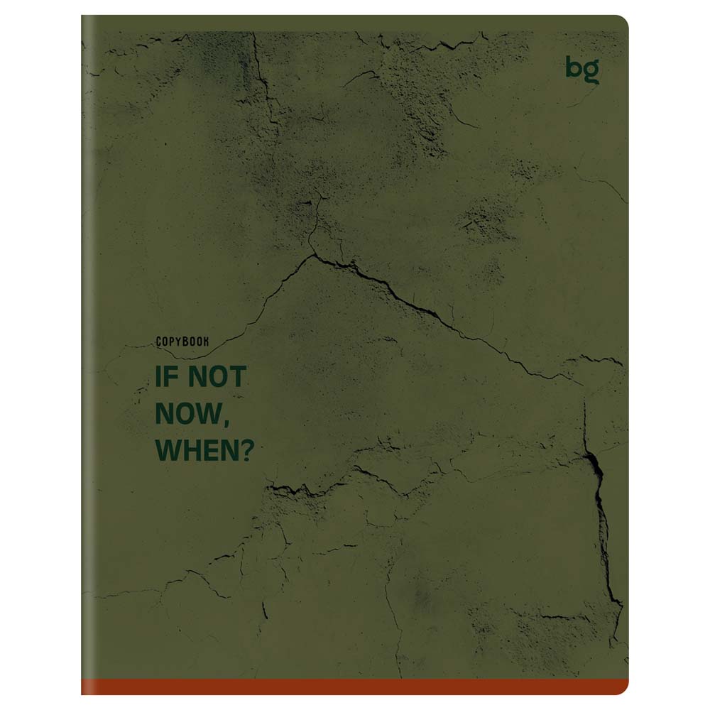 Тетрадь 48л. кл. "стена" (bg) б/б,тиснен.фактурн.,асс-т