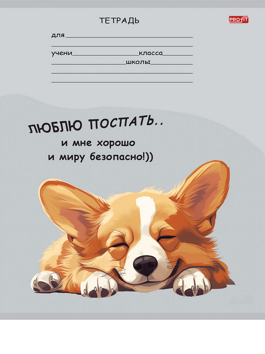 Тетрадь 18л. кл. "зверята и надписи" (проф-пресс) б/б,асс-т