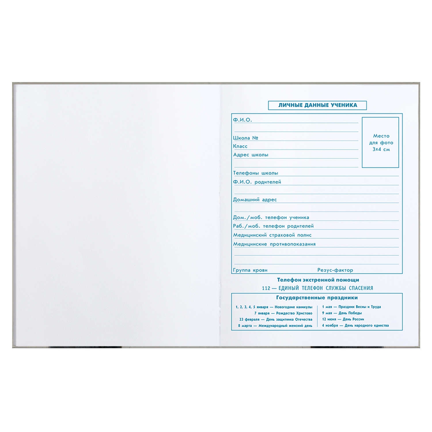 Дневник мл.кл. тв.обл. "девчонка в шапке" (феникс+) глянц.лам.