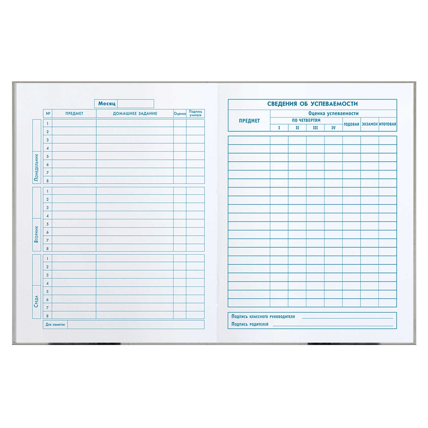 Дневник мл.кл. тв.обл. "девчонка в шапке" (феникс+) глянц.лам.