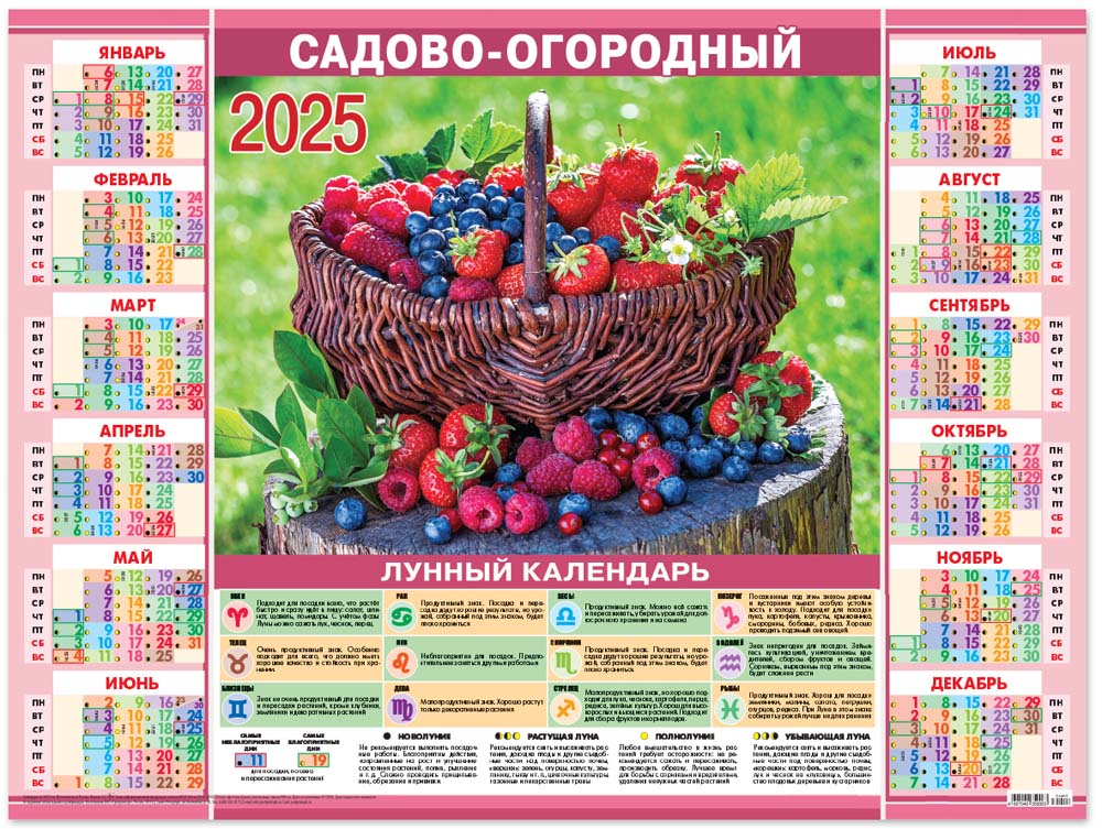 Календарь настенный 2025 а2 "садово-огородный. корзина с ягодами"