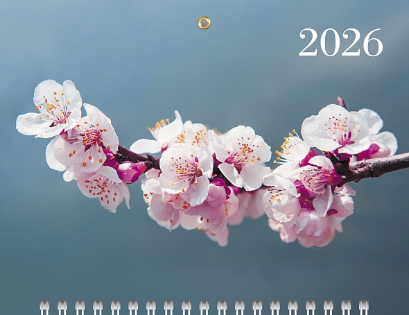 Календарь настенный 3-блочный мини 2026 "цветущая сакура" + бегунок