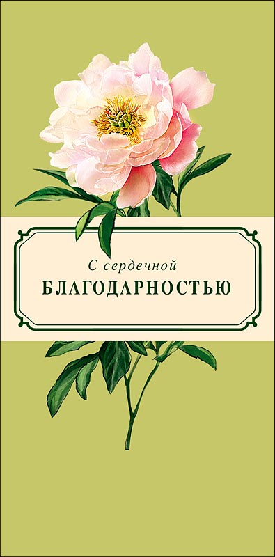 Конверт для денег "с сердечной благодарностью"