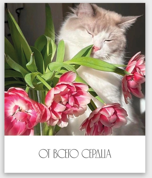 Открытка мини 9х11см "от всего сердца"