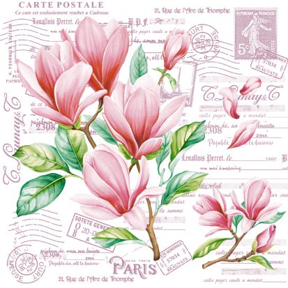 Салфетки бум. 330х330мм 20 шт. 3-сл. "открытка с магнолиями"