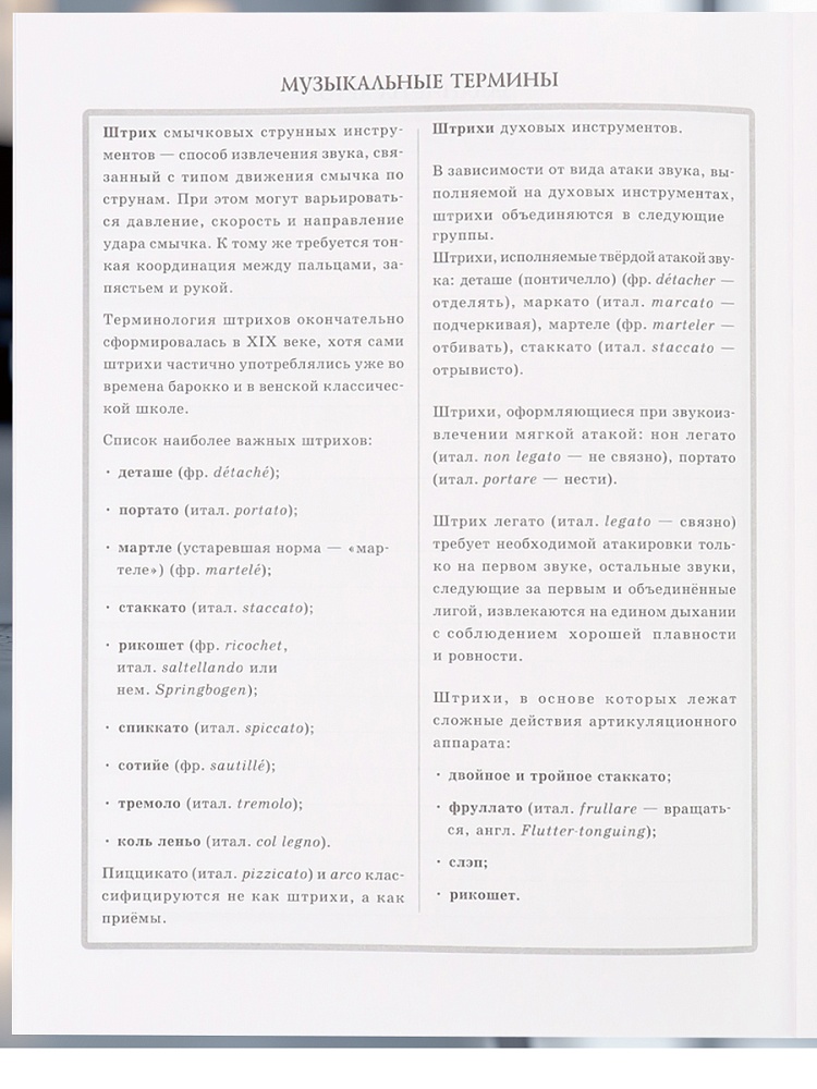 Дневник для муз.школ тв.обл. "классическая скрипка" (проф-пресс) глянц.лам.