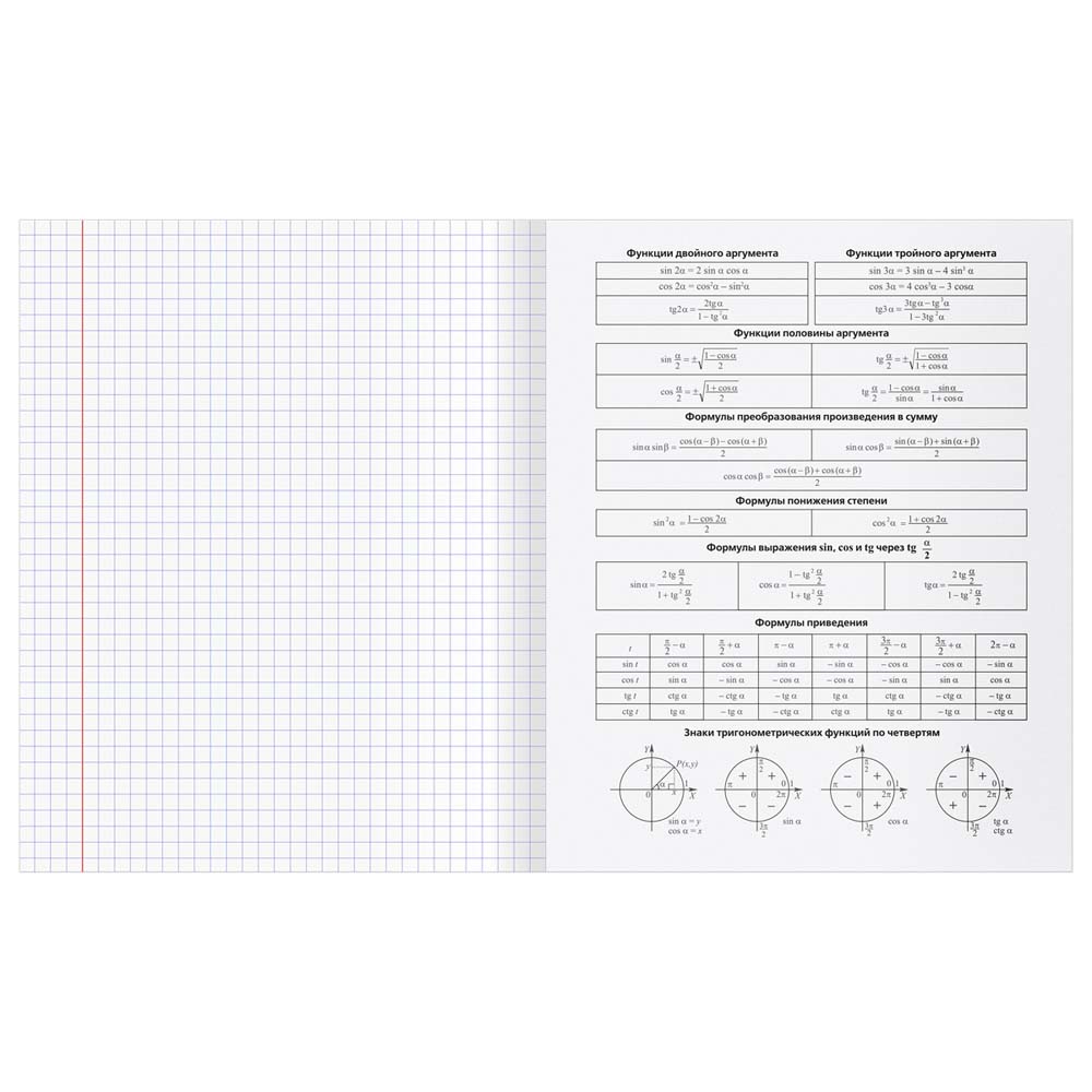 Тетрадь 48л. "перфокарта" алгебра (bg) пласт.обл.