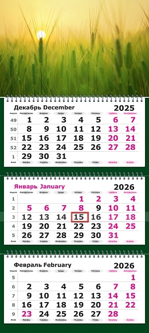 Календарь настенный 3-блочный 2026 "русское поле" +бегунок